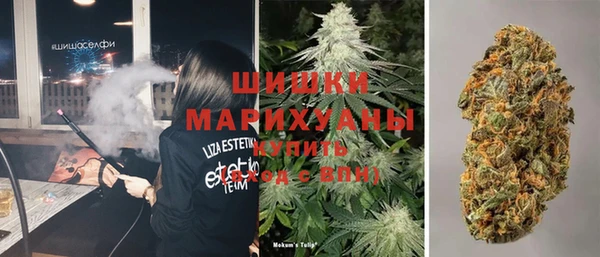 PSILOCYBIN Белоозёрский