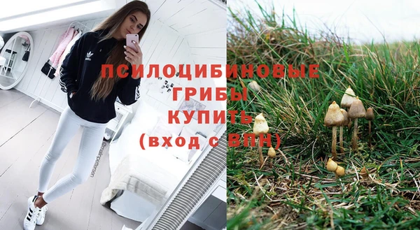 герыч Балахна