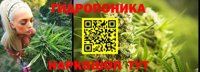 spice Кандалакша