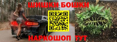 spice Кандалакша